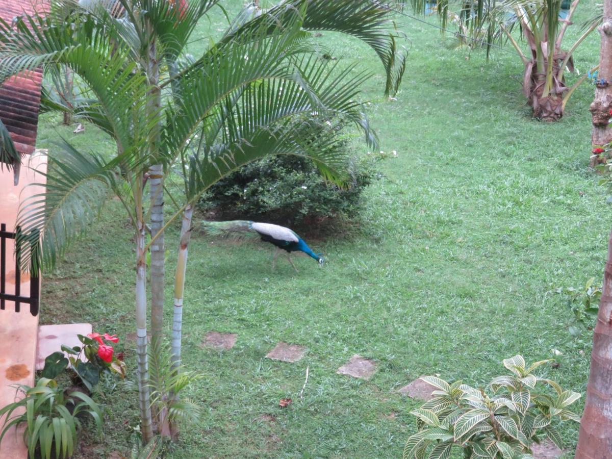 Beach Lagoon Guesthouse Tangalle Exterior photo
